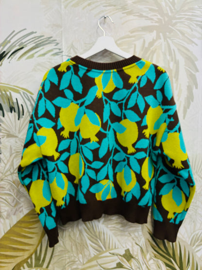 Pomegrantes Sweater