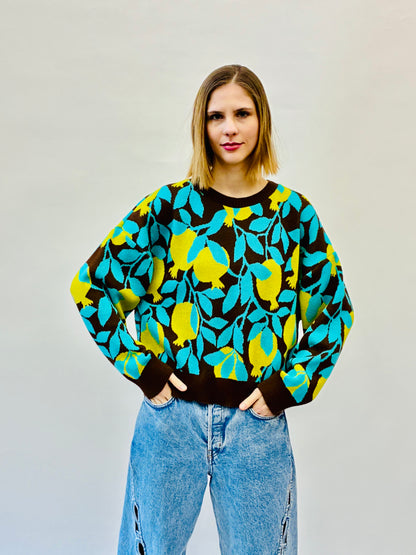 Pomegrantes Sweater